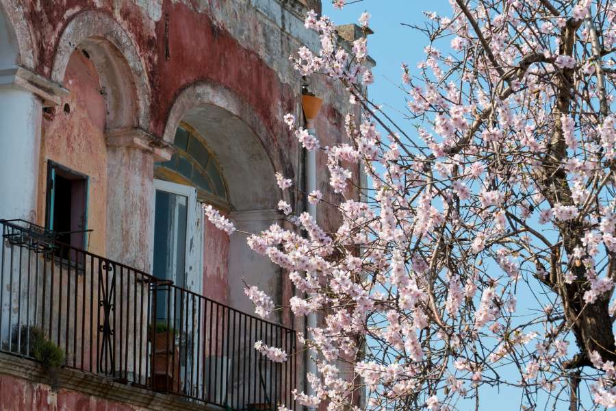 April & May Ischia Offer - 7 Nights April & May Ischia Offer - 7 Nights