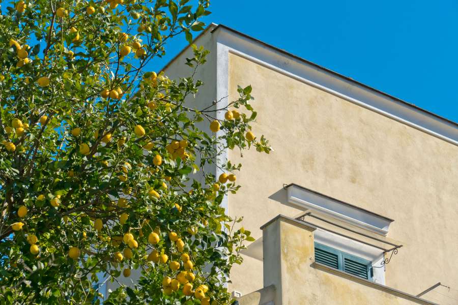 Easter Holiday in Ischia - 3 Nights Easter Holiday in Ischia - 3 Nights